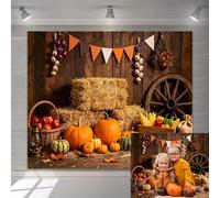 Fall Backdrop 10x8ft Fall Thanksgiving Harvest Backdrop Wood Plank Pumpkins Crops Country Farm Hay Autumn Thanksging Day Party Decorations Banner Outdoor Kids Adults Portraits Photos Booth Props