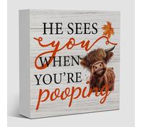 Fall Bathrrom Decor Sign Decorations Indoor for Home Office Table Room Bedroom Living Bathroom Kitchen He Sees You When Are Pooping 5x5 inch