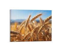 Fall Clear Day Wall Decor Poster, Autumn Golden Wheat Field Framed Canvas Wall Art for Bathroom Kid's Room, Funny Autumnal Harvest Artworks, Thanks Giving Gifts, 20x25CM