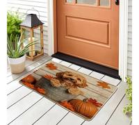 Fall Cockapoo Dog Front Black Door Mat Outside Inside Entrance 29 * 17, Autumn Wood Maple Leaf Outdoor Indoor Washable Doormat, Small Puppy Shoes Off Doormat for Patio Interior Garage