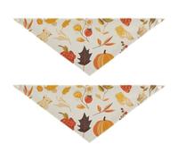 Fall Feast Pet Wear Resistant and Set of 2 for Outdoor Pets Various Sizes 30 × 12 2in