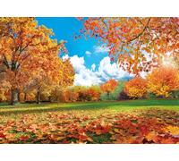 Fall Forest Backdrop Autumn Maple Leaves Park Nature Scenery Photography Background Fall Harvest Thanksgiving Friendsgiving Birthday Party Decor Banner Photo Props (7x5FT)