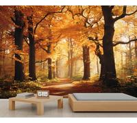 Fall Forest Mural Wallpaper Autumn Trees Natural Landscape Wallpapers Fallen Leaves Pathway Scenery Boys Wallpaper for Kids Bedroom Living Room Sofa TV Background Wall Mural Poster 250 X 175 cm
