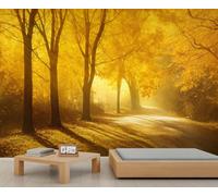 Fall Forest Sunlight Wallpaper Sunshine Forest Wall Decoration Golden Maple Trees Park Scenery Mural Wallpaper 3D Natural Scenery Murals for Living Room Bedroom 500 x 317 cm