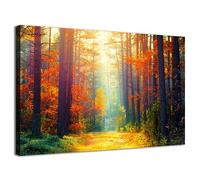 Fall Forest Wall Art Orange Maple Leaves Wall Decoration for Living Room Bedroom Autumn Landscape Pictures Nature Trees Scenery Canvas Print Sun Light Through Forest Painting Artwork Home Decor 20x30”