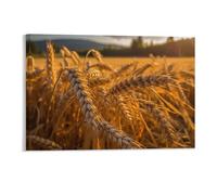 Fall Harvest Wall Decor Poster, Wheat Field And Mountains Framed Canvas Wall Art for Bathroom Kid's Room, Funny Autumn Sunset Landscape Artworks, Thanks Giving Gifts, 28x43CM