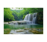 Fall Jigsaw Puzzles for Adults 1500 Piece Jigsaw Puzzles for Adults Forest 87x57cm, Classic Educational Games Decompression, Challenging Game for Families Beautiful Home Decor Gifts for Men Women A-70