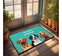 Fall Kitchen Mats For Floor Three Dogs Curiously Ask: Are You Pooping? Doormat Front Door Decor Retro Rug(65X90CM)