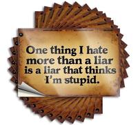 Fall Outdoor Decorations Tumbler Funny Sticker - One Thing I Hate More Than A Liar is A Liar that Thinks I'm Stupid. New Durable Sticker Easy Apply for Billiards Decor(6X9CM)