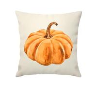 Fall Pumpkin 18x18 Pillow Covers Halloween Throw Pillow Cover Case for Home