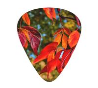 Fall Red Leaves and Fruits Print Guitar Pick,12 Pack,Includes Thin,Medium,Heavy Gauges,Suitable for guitar,ukulele
