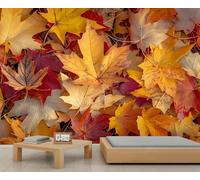 Fall Red Maple Leaf Wallpapers Boho Autumn Leaves Wallpaper Murals for Walls Landscape Wallpaper Mural Vintage Wall Paper for Bedrooms Kids Living Room 100X70cm