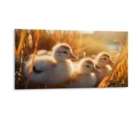 Fall Scene Wall Decor Poster, Baby Ducks in A Field of Tall Grass Framed Canvas Wall Art for Bathroom Kid's Room, Funny Autumn Sunset Artworks, Thanks Giving Gifts, 20x40CM