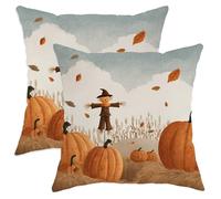 Fall Throw Pillow Covers Set of 2, Pumpkin Scarecrow Decorative Cushion Cases, Autumn Farmhouse Decor for Home Sofa Bed Couch 22x22 Inch