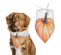 Fall Watercolor PumpkinsPet Scarf Dog Bandana for Small Medium Large Exquisite Unique Cat Dogs Kerchief Premium Fabric Cute Triangle Cat Dogs Bibs Scarf