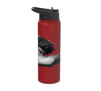 Fallen Angel Painting by Alexandre Cabanel Stainless Steel Insulated Water Bottle