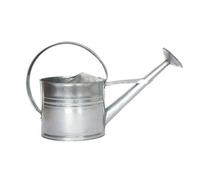 Fallen Fruit Vintage-Style Zinc Watering Can With Ergonomic Handle And Balanced Weight