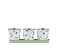 Fallen Fruits Bee Print Herb Pots with Tray | for Windowsill or Balcony | Indoor or Outdoor Use