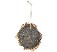 Fallen Fruits Dried Hanging Sunflower Seeds For Wild Birds 1Pc