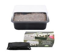 Fallen Fruits Home Mushroom Grow Kit Starter