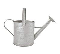Fallen Fruits Old Zinc Watering Can 6.6 Litres