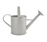 Fallen Fruits Old Zinc Watering Can 8.7 Litres