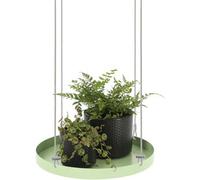 Fallen Fruits Round Hanging Plant Tray (Large)