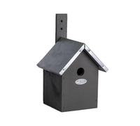 Fallen Fruits Wren Blue Tit House Grey