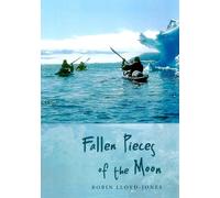 Fallen Pieces of the Moon