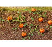 Faller 181258-6 Pumpkin Plants - Model Railway Accessories - Model Making