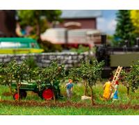 Faller 181359 Apple Trees 45mm (10)
