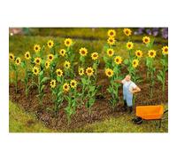 Faller 95523-16 Sunflowers Model Railway Accessory