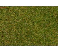 Faller 170256 Early Summer Lawn Wild Grass Fibres 4mm (1kg)