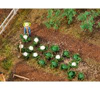 Faller, H0/1:87 10 Green and 10 Cauliflower Heads, Look Very Natural 181257