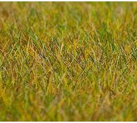FALLER Light Green Meadow 6mm Premium Ground Cover Fibres (30g) HO Gauge 180484