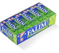 Fallim Mint Flavored Sugar-Free Chewing Gum 5-Pack 20 Pieces