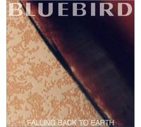 Falling Buck To Earth