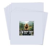 Falling in Art 5 Pack Acid Free 12x12'' White Picture Mats Board Show Kit for 8x8'' Photos, 4-Ply Beveled Pre-Cut Photo Mats with Backing Board for Frames, Artwork and Prints