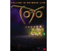Falling in Between Live [DVD] [2008] [Region 1] [US Import] [NTSC]