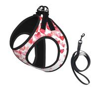 Falling Red Hearts Print Harness Leash Set For Cats And Dogs, Reflective Adjustable, Soft Breathable Mesh Vest With Escape-Proof Lead, For Small Pets And Kitten Puppies