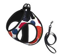 Falling Ripe Berries Raspberries,Pet Harness,Adjustable Reflective Dog Harness,Pet Leash Vest,L