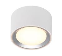 'Fallon' Indoor Surface downLight White/Steel Intergrated LED Nordlux White One Size