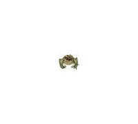 Modiphius Entertainment Ltd – Fallout Miniatures – Creatures: Radtoads