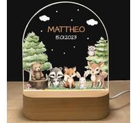 Fallover Personalised Night Light with Baby Name and Date, Custom LED Lamp for Baby Boys Girls Nursery, Cute Animals Pattern, Baby Sleep Light, Christening Birthday Christmas Day Gifts (Design 20)