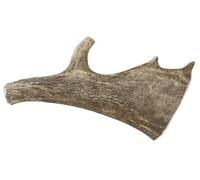 Fallow Antler Large Dog Chew - Natural, odourless, and durable chew for large dogs. Sustainably sourced, long-lasting, hypoallergenic, supports dental health, safe for strong chewers, mess-free.
