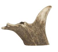 Fallow Antler Medium Dog Chew - Natural, durable, odourless chew toy for medium dogs. Sustainably sourced, hypoallergenic, long-lasting, promotes dental health, safe for aggressive chewers.