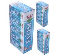 Falım Flavored Sugar-Free Chewing Gum 300 pcs (5pcs in each pack, 60 packs in total) by Pufai Grocery