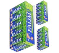 Falım Mint Flavored Sugar-Free Chewing Gum Flavored Sugar-Free Chewing Gum 300 pcs (5pcs in each pack, 60 packs in total) by Pufai Grocery