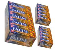 Falım Mixed Fruit Flavored Sugar-Free Chewing Gum 300 pcs (5pcs in each pack, 60 packs in total) by Pufai Grocery