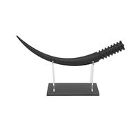 False Eyelash Model with 3D Simulation Effect, False Eyelashes Display Ornament for Lash Shop and Training School, Enlarged 300x Lash Teaching Tool with Flat Base Design
